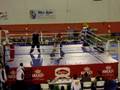 kingboxing 2 florin