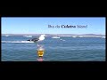 Boat tour - Birdwatching
