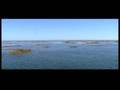 Natura Tour: paseo en barco en la Ría Formosa desde Olhão