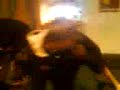 craig n paul fightin