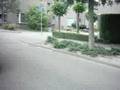 Yamaha Quad Raptor YFM 700R Cruising