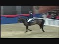 Collado