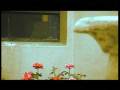 La Nave (Trailer )
