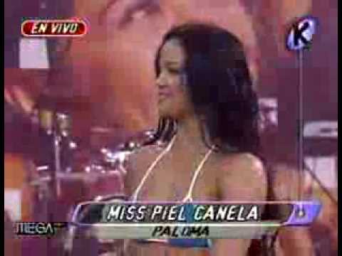 paloma fiusa