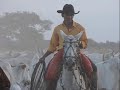 Sergio Reis - Recolhida