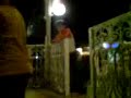 diego bailando
