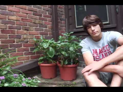 how to fertilize bell pepper plants