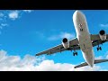 travel with zinzino
