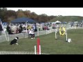Wow Willingboro NJ 10-09