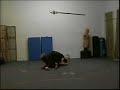 Pankration Training (round 2)