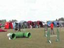 hidden farms finley - agility Roskilde june 2008