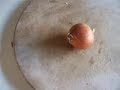 Nikon onion chopper