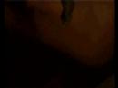 couler-trailer
