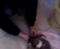 Pepito Brando jr e Winnie a 29 gg