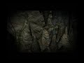 ANIMUSIC CAVE FINAL PROJECT