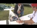 RC Scale contest plane 9d_3