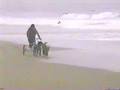 Mushing Peru - Playa San Pedro - 1999
