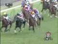 2008 札幌２歳Ｓ SAPPORO NISAI STAKES