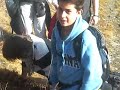 broute broute