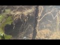 Моя подводная охота-2011