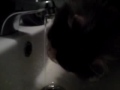 MOV01990.MP4