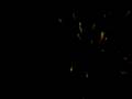Fireworks in back garden 11.3GP