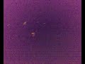 Hambug S�d Vogelschreck diggaaa!!!!By Alpha Doc