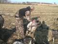 Goose Hunting with Marsh Outdoors