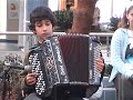 ACORDEONISTA\"CORRIDINHO DE AVIS\" VIT�RINO MATONO.