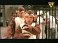 videos de thebloodhound gang  bad touch with lyrics
