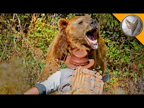 how to react grizzly bear