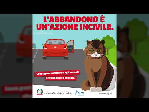  Guarda il video