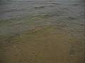 Crappie Day of Fishing