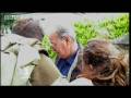 How to evade enemy capture part 1 - SAS Training - BBC