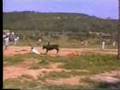 SI TE HA PILLAO LA VACA...... JODETE!!!!