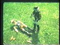 Bravestarr Animation