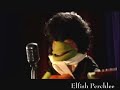 Elfish Perchlee Lives