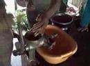 Little Eblis grinds Guisador roots to make dye for Chambira fibers