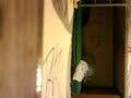 daka graffiti
