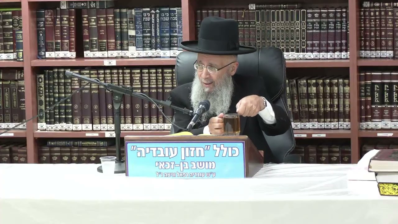 הרב גדעון בן משה :  הלכות שבת –  דין בורר .