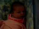 eden rose, july 3 2008