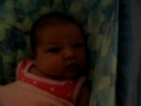 eden rose, july 3 2008