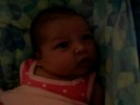 eden rose, july 3 2008