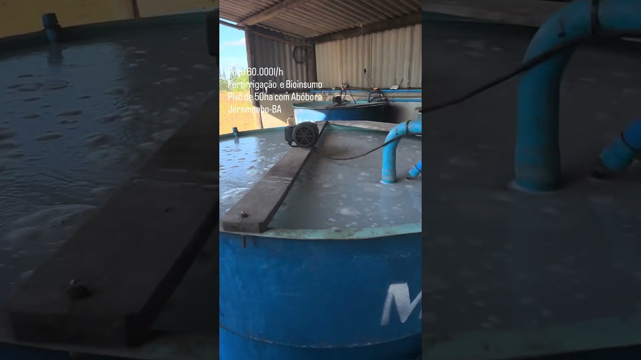 POÇO , PIVÔ E PLANTIO DE ABÓBORA NO SEALBA