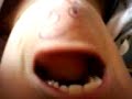 mrs potato head mrs potato head