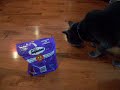 Burnsy loves Temptations! Burnsy loves Temptations!