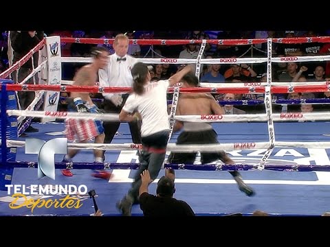 Fan Climbs Into Ring & Starts Throwing Punches At Boxer