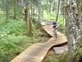 videos de Blueberry Pancake Trail Girdwood, AK 2/5