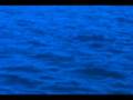 海豚