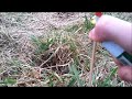Click here to watch this video Selfmade Pfeifböller